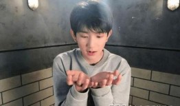 王源黑粉最新爆料视频,揭秘背后惊人真相