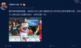 8月赛季最新爆料下载,揭秘新赛季精彩看点与战队动向