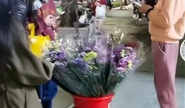 杨先生深圳最新爆料,揭秘深圳最新动态与热点事件